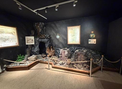 Ein Ausstellungsraum mit einer Felslandschaft und mehreren Informationsplakaten. Die Wände sind dunkel, und es gibt Pflanzen sowie eine Absperrung um die Ausstellung.
