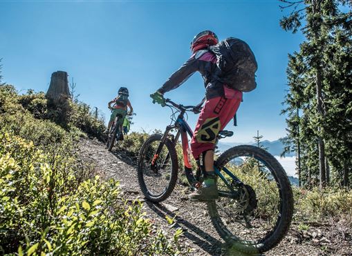 Zwei Mountainbiker fahren einen schmalen Weg im Wald. Die Szene zeigt hohe Bäume und einen klaren blauen Himmel.