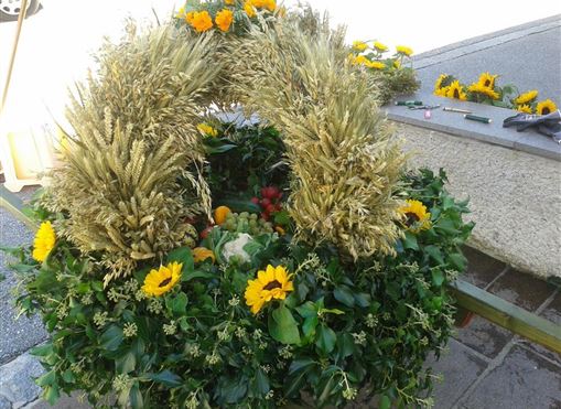 Ein schöner Kranz aus Getreide, Sonnenblumen und frischem Grün. Die bunte Dekoration ist ein festlicher Blickfang.