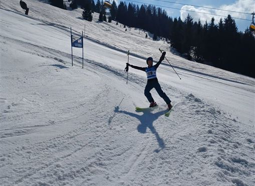 A skier happily glides down a slope. The snow is fresh and the landscape is surrounded by trees.