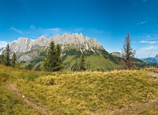 Eine herrliche Berglandschaft mit grünen Wiesen und hohen Gipfeln. Der Himmel ist klar und blau, ideal für Outdoor-Aktivitäten.
