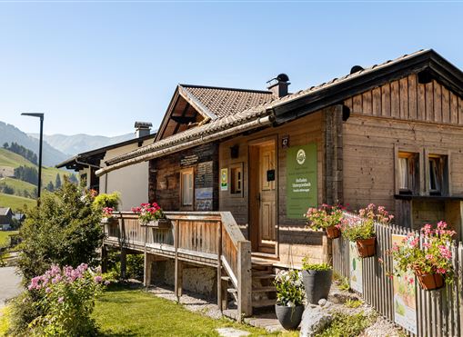 Ein charmantes Holzhaus mit Blumenampeln und einer einladenden Veranda. Im Hintergrund sind sanfte Hügel und ein klarer Himmel zu sehen.