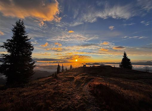 Ein wunderschöner Sonnenuntergang über den Bergen, umgeben von Wolken. Silhouetten von Bäumen und Personen sind im Vordergrund sichtbar.