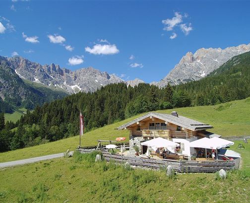 Ein charmantes Holzhäuschen umgeben von grünen Wiesen und majestätischen Bergen. Der klare Himmel und die Sonnenschirme schaffen eine einladende Atmosphäre.
