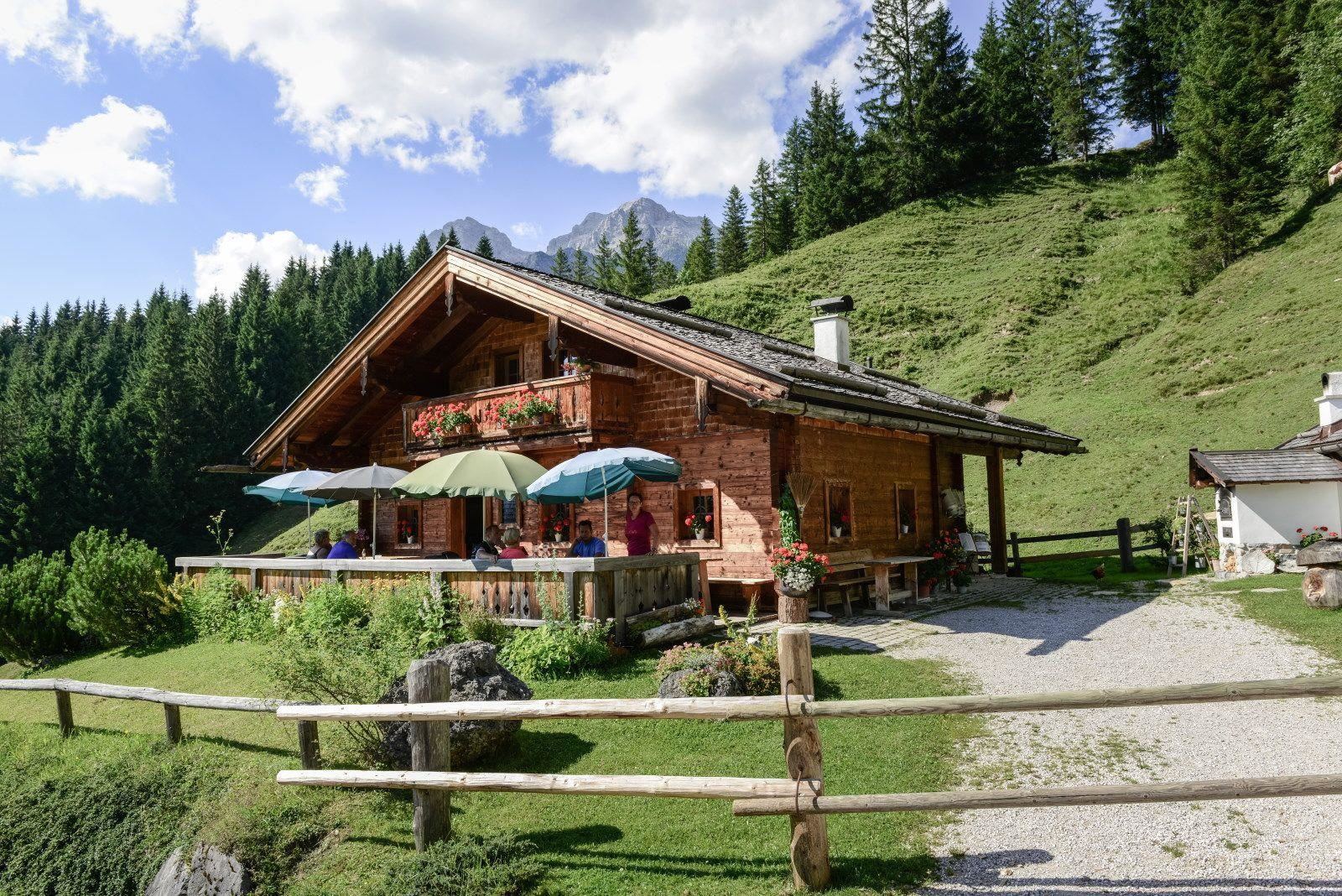 Mußbachalm 1.213 m