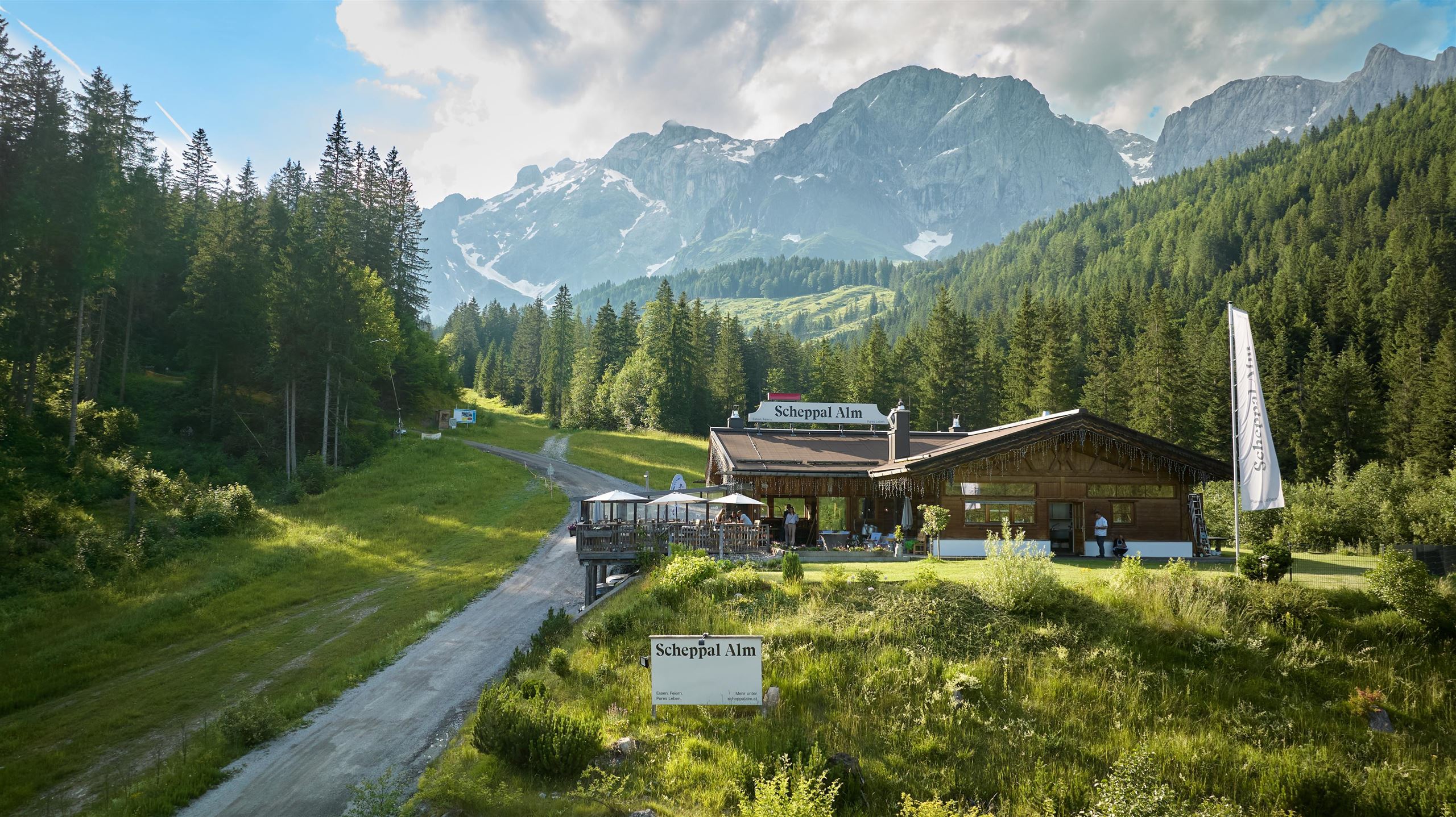 Scheppal Alm 954 m