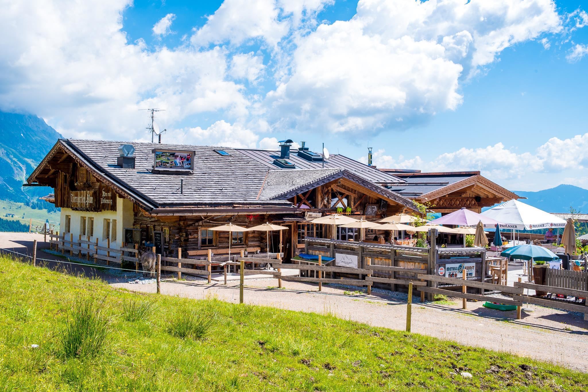 Tiergartenalm 1.540 m