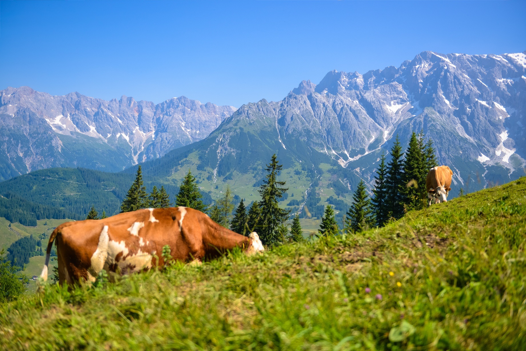 Via Alpina 1. Etappe