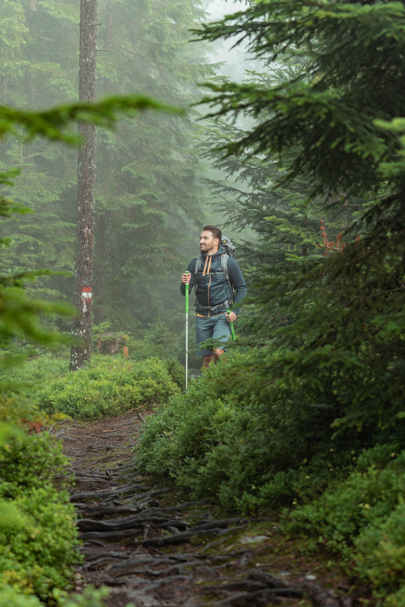 Nordic Walking am Erlenweg
