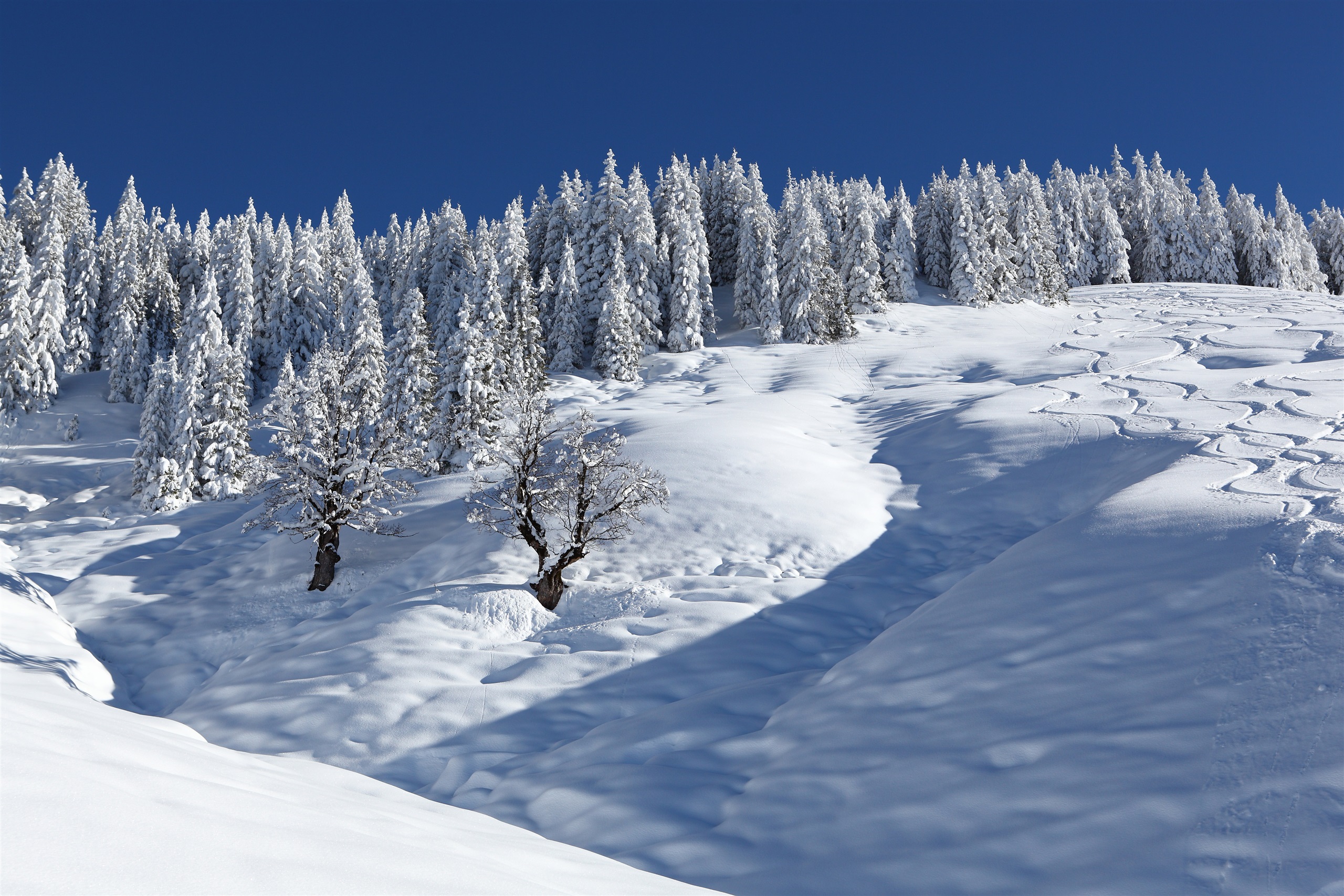 Skitour Marbachhöhe