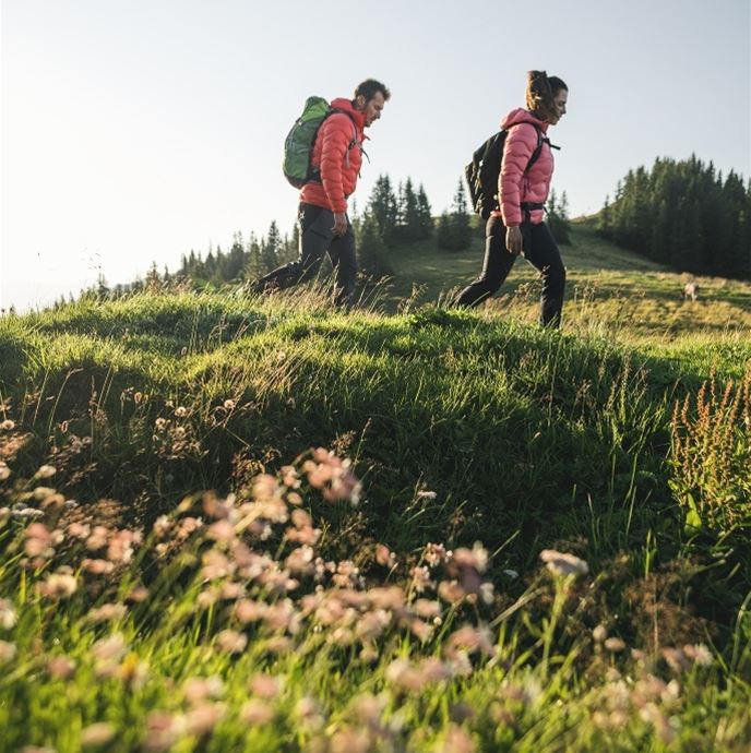 Wandern