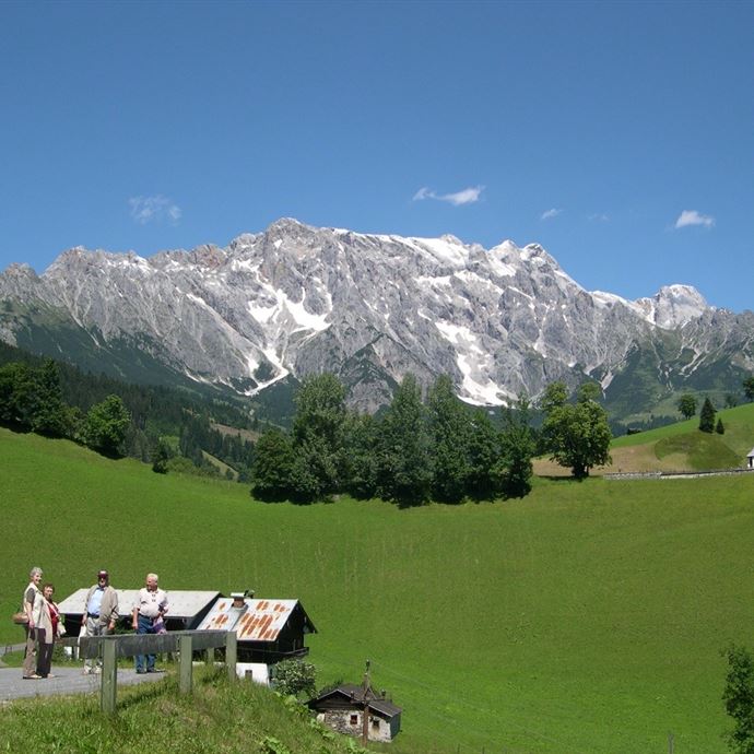 Almwanderung vom Filzensattel zur Grüneggalm