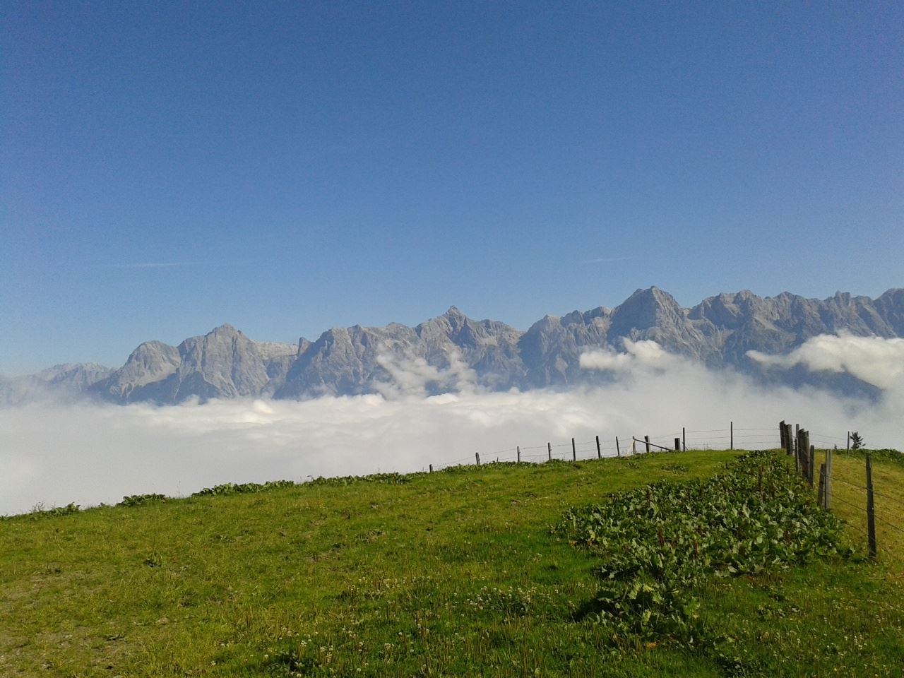 Von der Bergstation Abergbahn über die Wastlalm zur Grießbachalm nach Unterberg