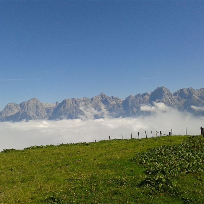 Ausblick Langegg