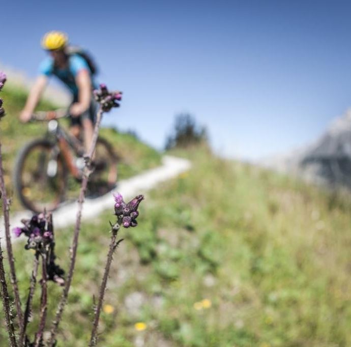 Biken