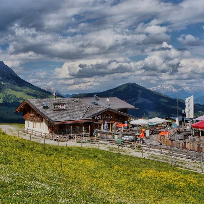 DEN KRÄUTERN AUF DER SPUR zur Tiergartenalm