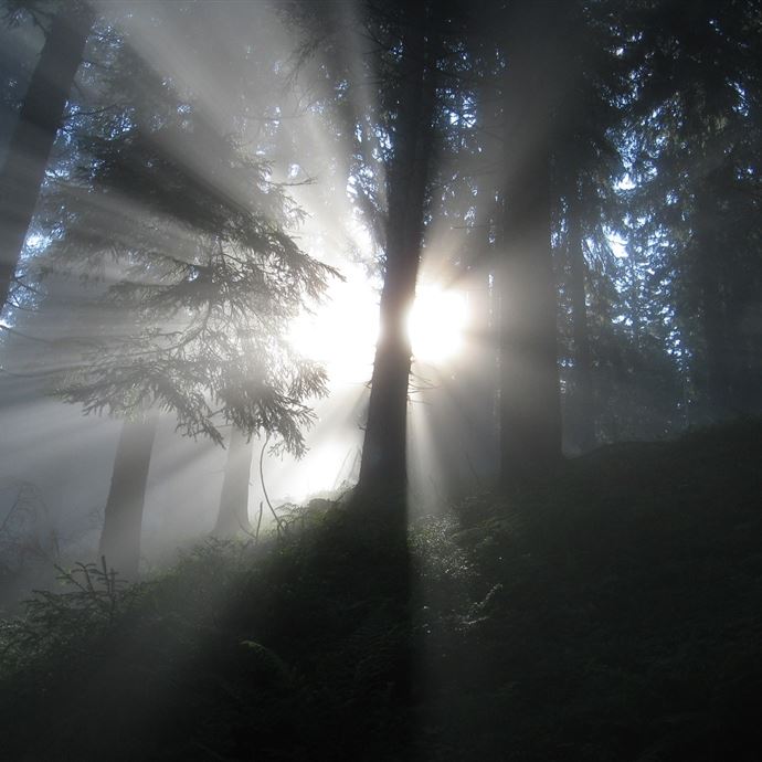 Der Weg der vielen Schritte - Pilgerwandern am Hochkönig