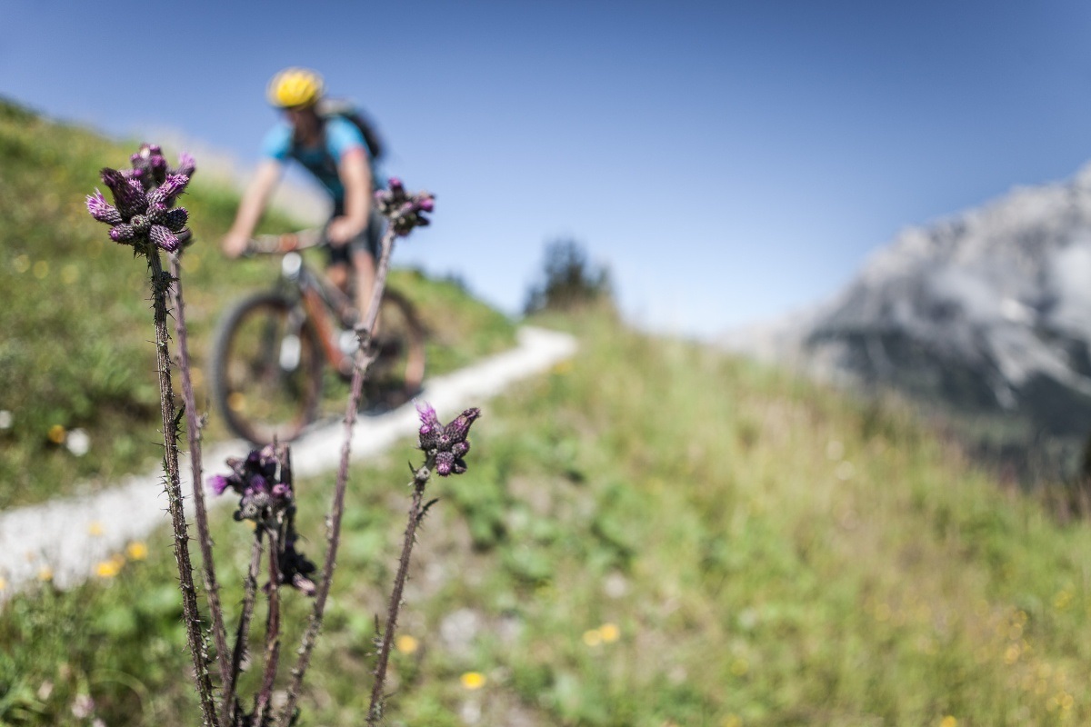 e-Bike Tour - Mosott-Arthurhaus Runde (Tour 3)