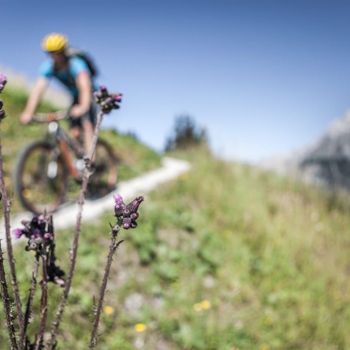 e-Bike Tour - Mosott-Arthurhaus Runde (Tour 3)