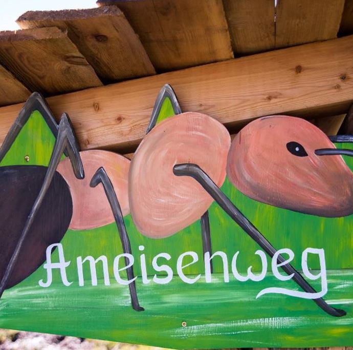 Eingang Ameisenweg