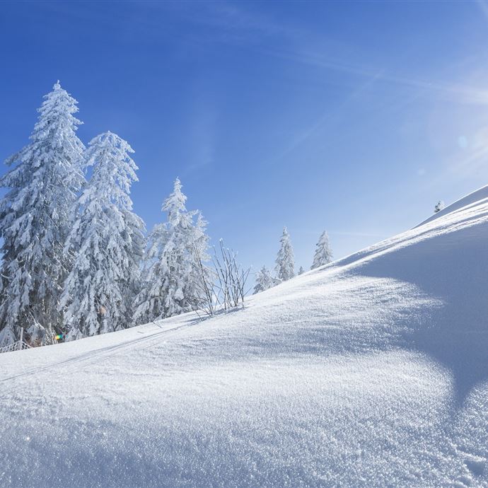 Herrliche Schneelandschaft