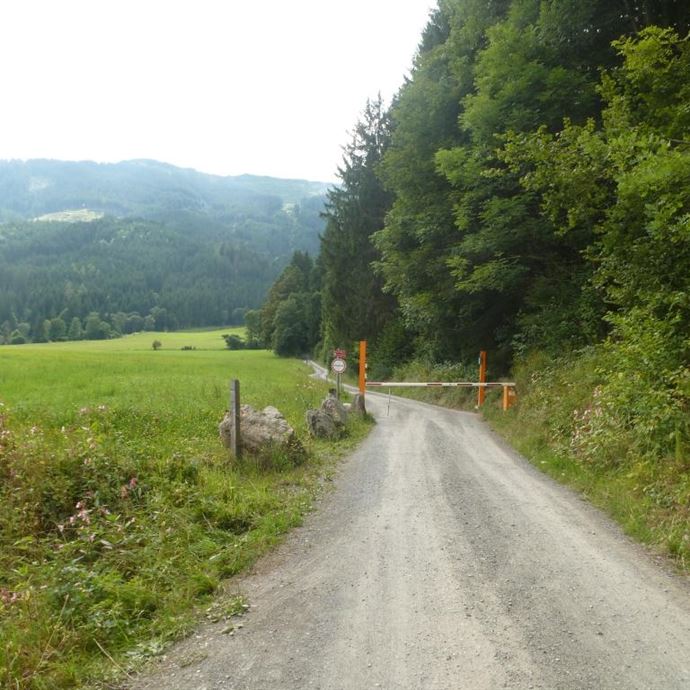 Hinter dem Schranken beginnt die Auffahrt zur Örgenbauernalm 