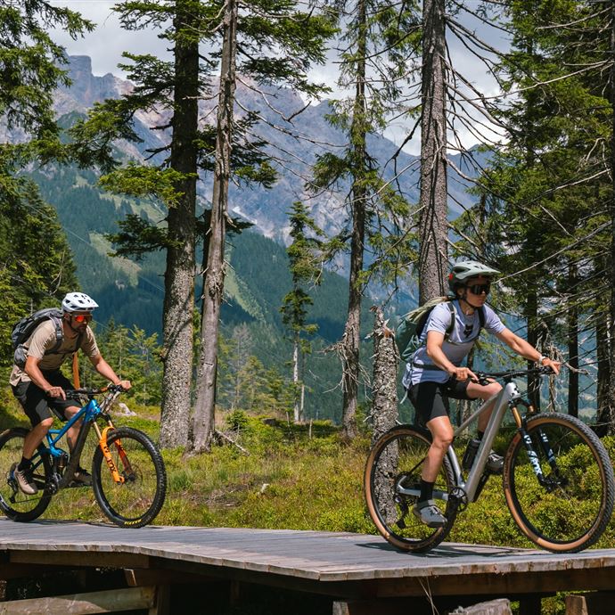 Holzbrücke, Teil der Primbach Tour