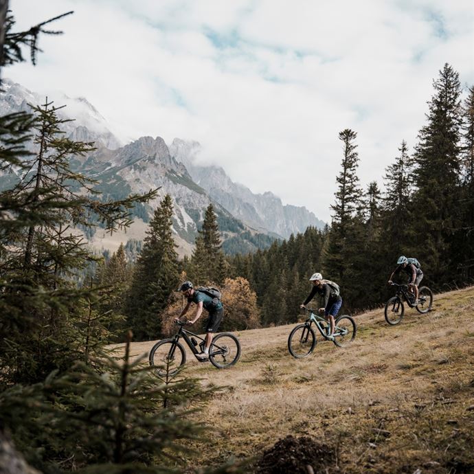 Königstour: BIKE MEDIUM - Tag 2 - von Dienten nach Mühlbach