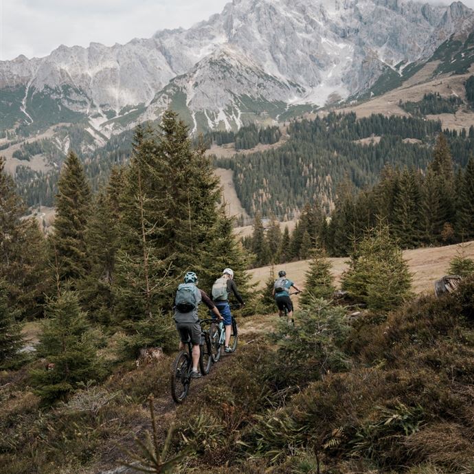 Königstour: BIKE MEDIUM - Tag 3 - von Mühlbach nach Maria Alm
