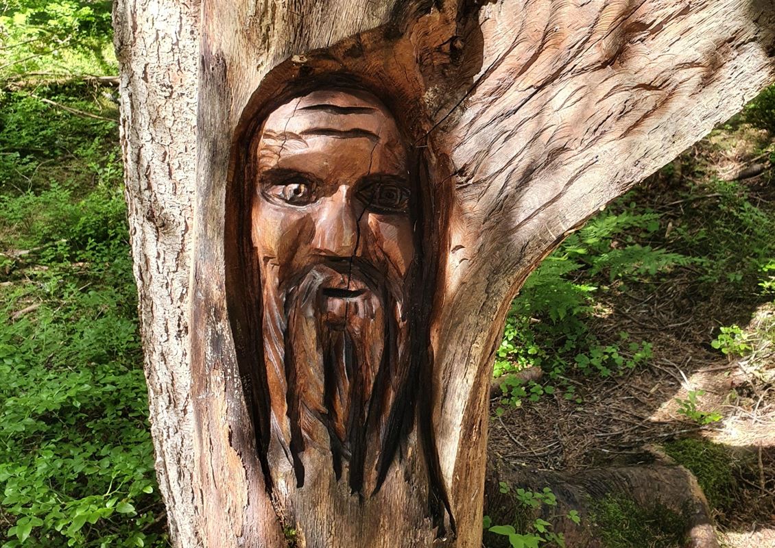 SPIELEND WANDERN AM &amp;quot;Schnitzerweg der Tiere&amp;quot;