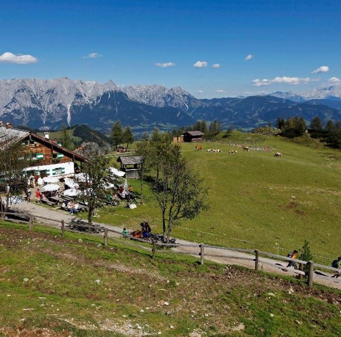 Mitterfeldalm