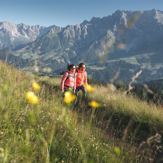 Panoramareiche Wanderung rund um Hinterthal