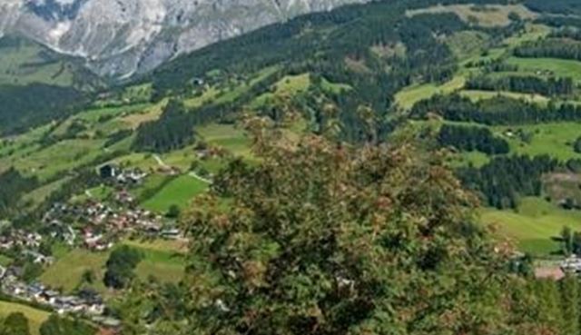PaussBauer