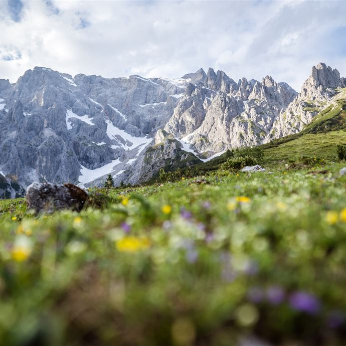 PINZGA HATSCHA Etappe 6 (von Dienten nach Mühlbach)