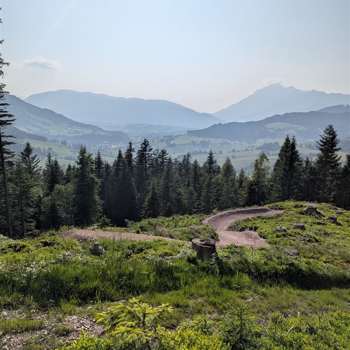 Primbach Trail