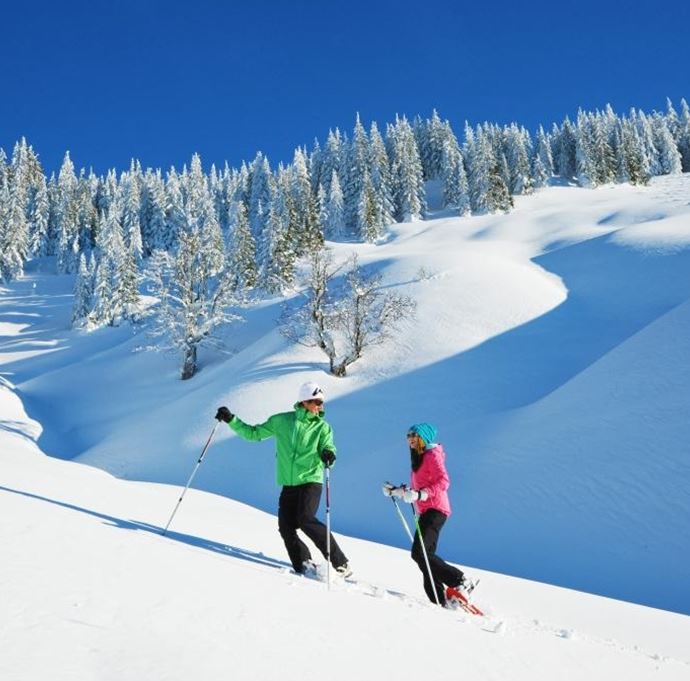 Schneeschuhwandern