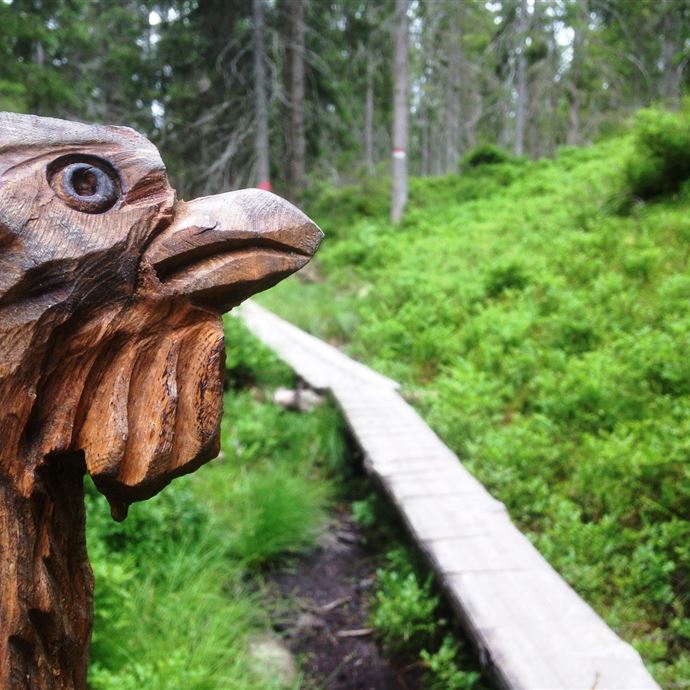 Schnitzerweg der Tiere
