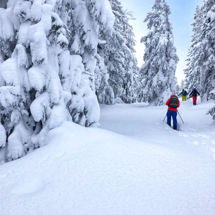 Ski tour
