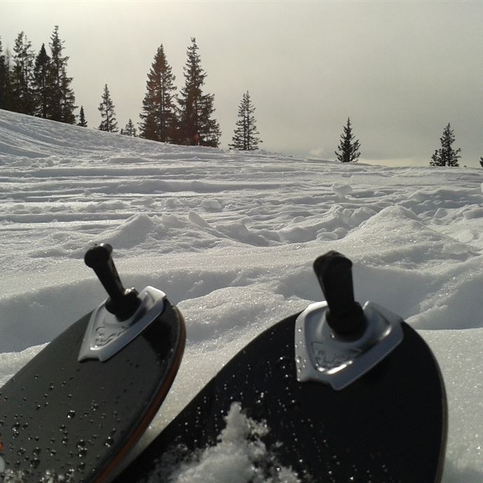 Aufstiegsspur Scheppal Alm - Kings Cab