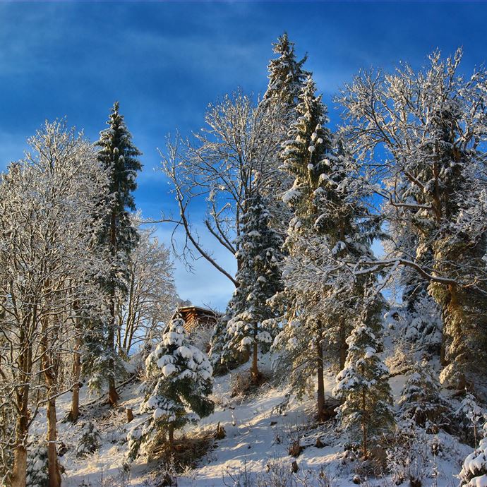 Skiweg
