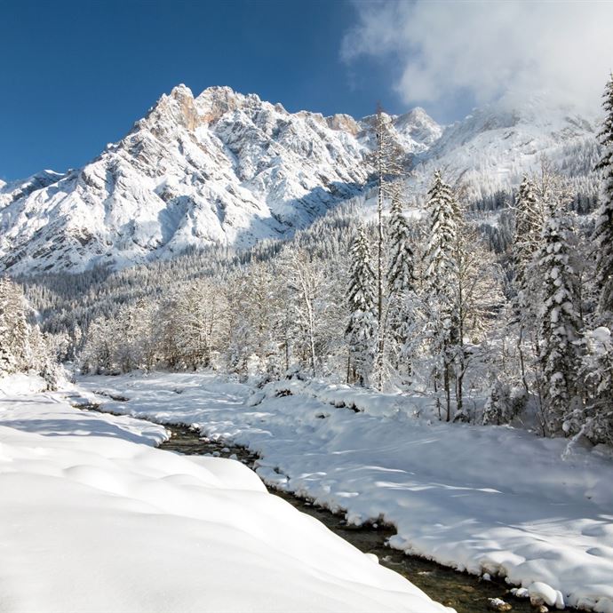 Dreamlike winter landscape