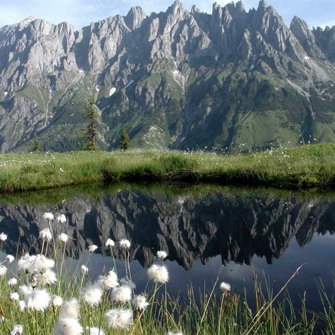 Troiboden