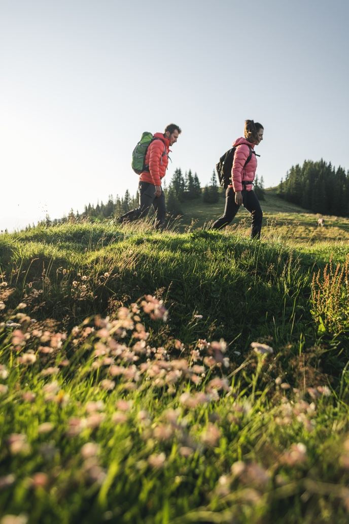 Postalm Rundweg