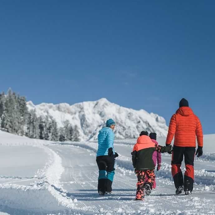 Winterwandern
