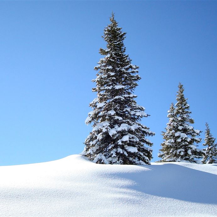Winterwunderland Kopphütte